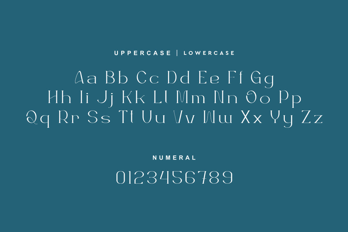 Washgoem - Modern & Serif Typeface, a Serif Font by QR Design Studio (Photo 5 of 10)