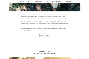 Captivating Wordpress Theme