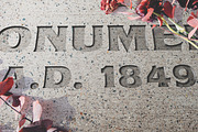 Bachman | Dark Display Type!, a Serif Font by StudioWorks (Thumbnail 6 of 8)