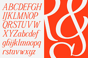 Schriftolia — Elegant Serif Italic, a Serif Font by Invasi Studio (Thumbnail 10 of 12)