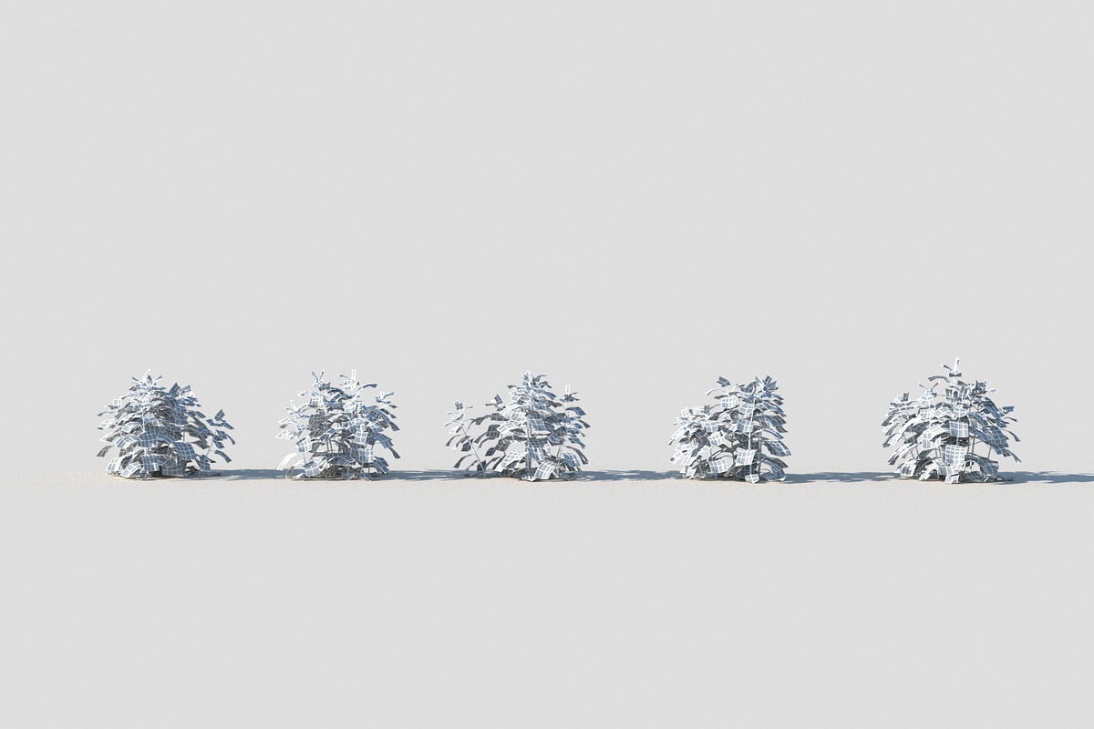 Melissa officinalis, an Environmental 3D Model by happy brush (Photo 5 of 8)