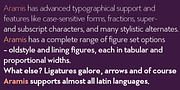 Aramis, a Sans Serif Font by Wiescher-Design (Thumbnail 4 of 6)