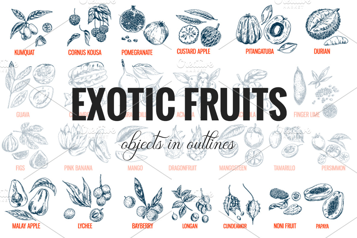 Exotic fruits. Vector collection., a Healthcare Illustration by JSolomatina (Photo 3 of 9)