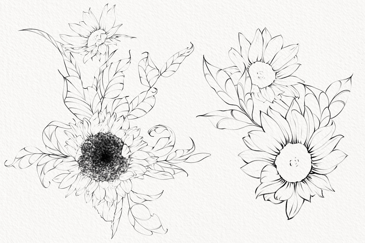 Procreate flower stamp, sunflower, a Brush Add-On by AnnaPolitmerskaja (Photo 5 of 11)