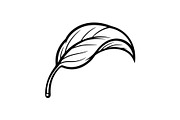 Hand Drawn Leaf Line Art Bundle, an Illustration by hafijul (Thumbnail 21 of 51)