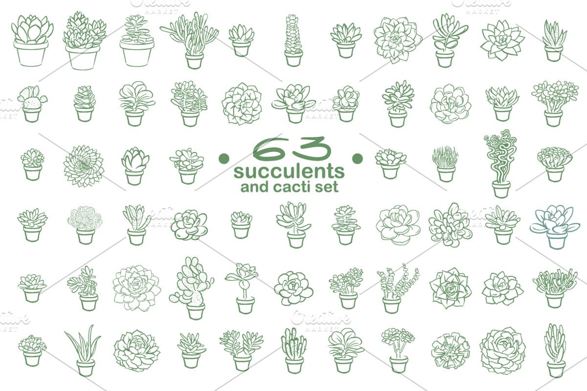 63 Succulents illustration set, a Decorative Illustration by Artha Design Studio (Photo 1 of 4)