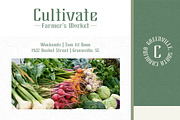 Brylan Typeface, a Serif Font by ANDR35 (Thumbnail 3 of 8)