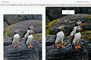 A Song Of Ice - Lightroom Presets, a Preset Add-On by Truesight Supply Co. (Thumbnail 5 of 10)
