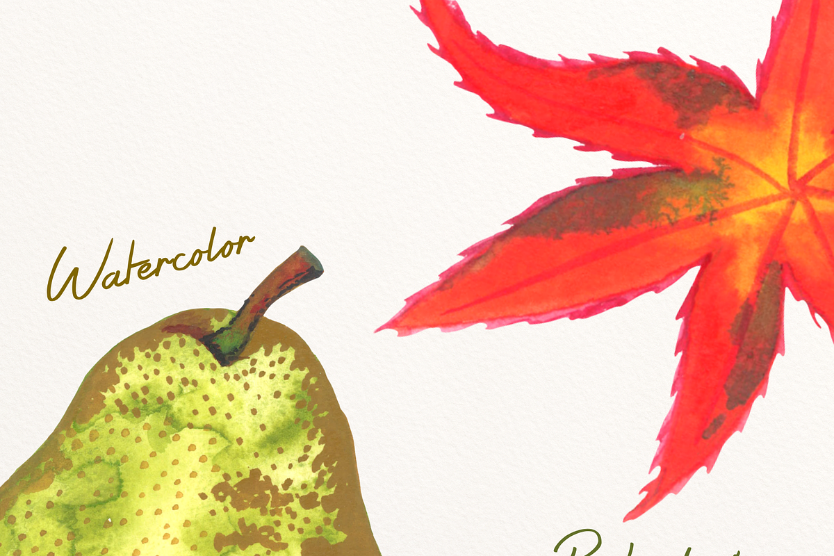 Autumn Leaves Watercolor Clip art, an Illustration by Eomoiart (Photo 4 of 4)