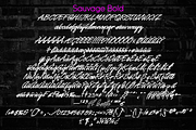 Sauvage - Monoline Script Family, a Script Font by Jvne77 (Thumbnail 5 of 6)