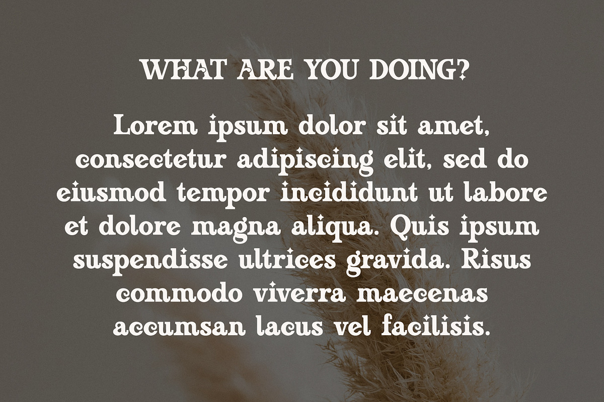 Boho Astro - Vintage Slab Serif, a Slab Serif Font by Airotype (Photo 9 of 13)