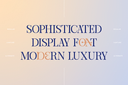Alurane Elegant Display Serif Font, a Serif Font by Rasio Studio (Thumbnail 6 of 10)