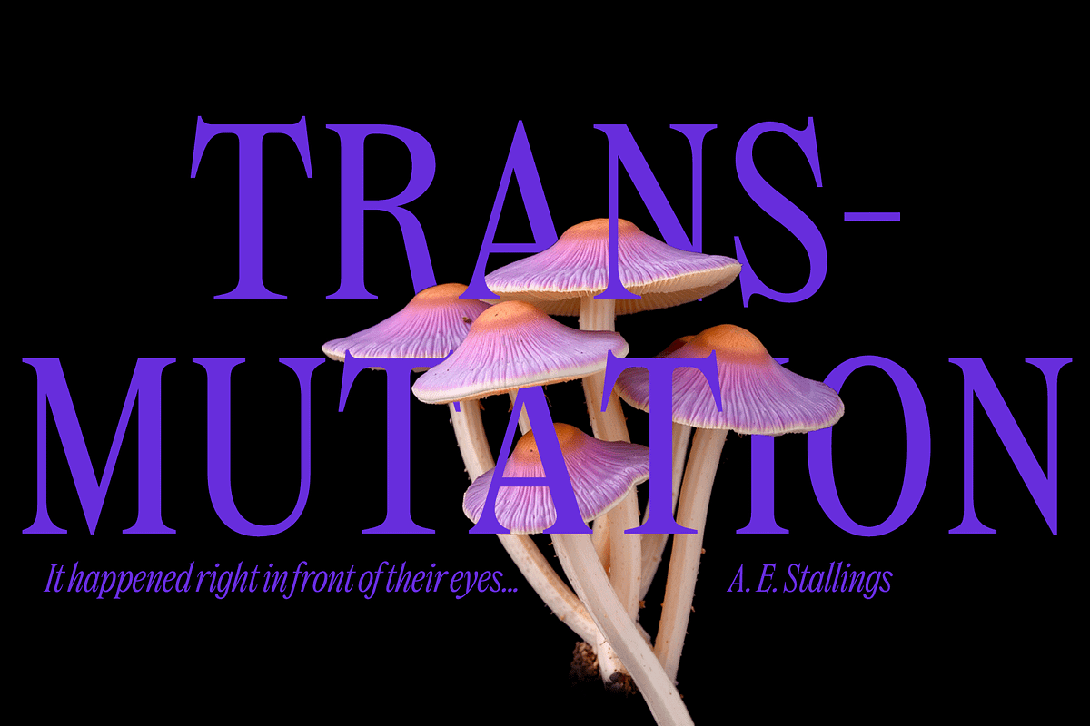Dickens - Movie Title Serif, a Serif Font by Fenotype (Photo 9 of 15)
