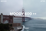 MOODY COLLECTION 1 - Adobe Lightroom, a Plug-in Add-On by PRESETS and CHILL (Thumbnail 4 of 5)