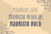 Mauricio - Sans Font Family, a Sans Serif Font by Typefactoryco (Thumbnail 6 of 9)