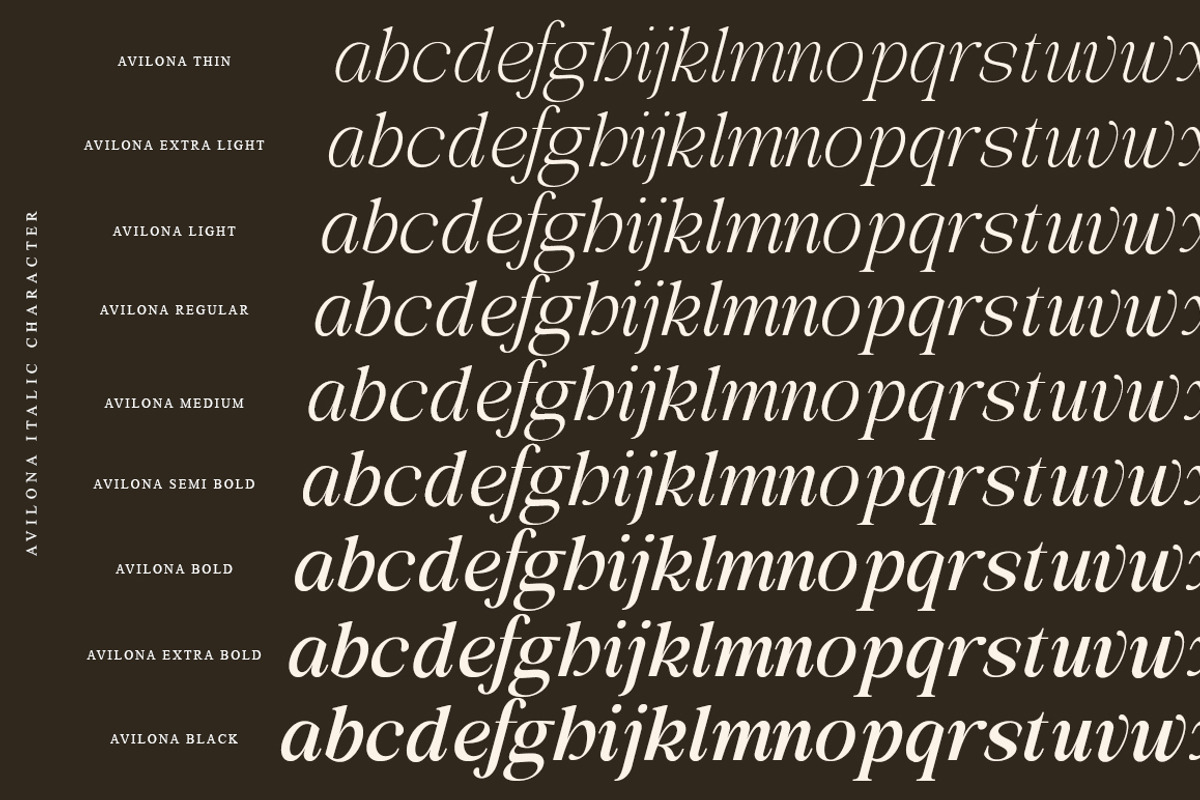 Avilona Super Family | 63 Style Font, a Serif Font by IM Studio (Photo 14 of 16)