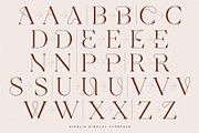 Kigelio | Display Serif, a Serif Font by Ivan Rosenberg (Thumbnail 8 of 12)