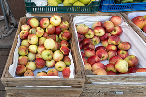 Freshly Harvested, a Food & Drink Photo by Imaginarium