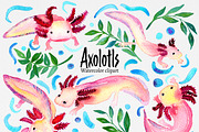 Clip art: Axolotl watercolor, an Animal Illustration by SandraGraphicDesign (Thumbnail 1 of 6)