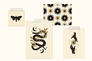 Celestial Illustrations&Patterns, an Animal Illustration by Katerina Osa (Thumbnail 2 of 12)