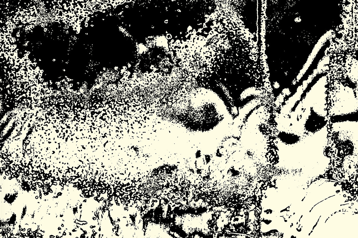 Surface Melt - Abstract Textures, a Texture Graphic by Huebert World (Photo 8 of 10)