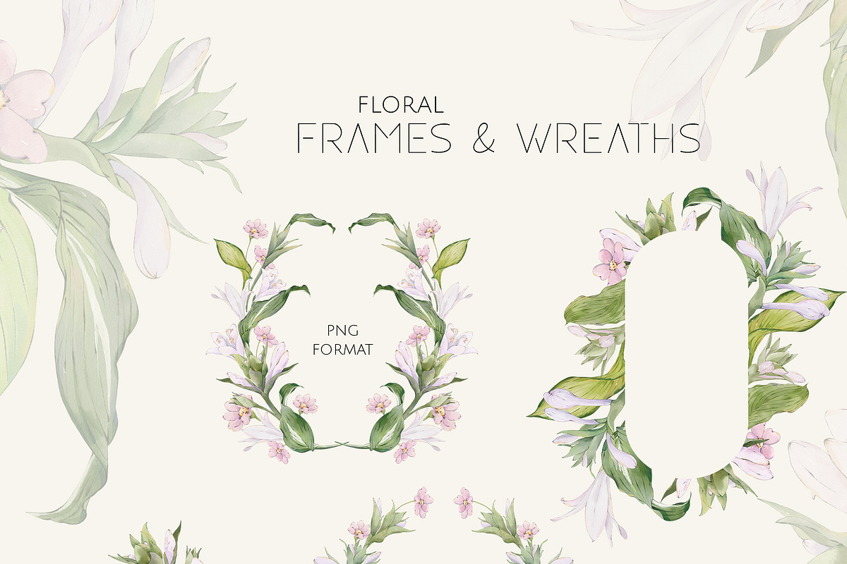HOSTA watercolor floral set, a Decorative Illustration by Yuliia Lashevska (Photo 8 of 12)