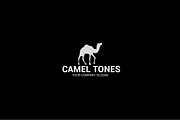CAMEL TONES, a Branding & Logo Template by shazi (Thumbnail 4 of 4)