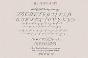 Pretty Woman || Couple Font Duo, a Serif Font by typeline studio (Thumbnail 7 of 8)
