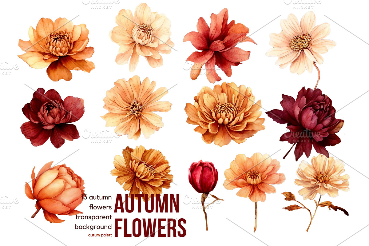 Autumn Dragons Clipart Set PNG, a Decorative Illustration by Floraphoria (Photo 3 of 9)