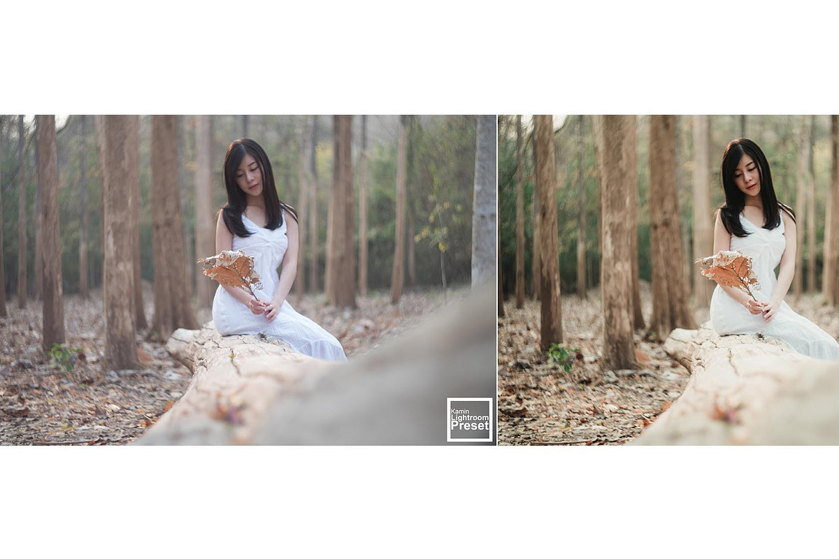 Kamin Fall Season, an Action Add-On by Kamin Lightroom Preset (Photo 15 of 17)