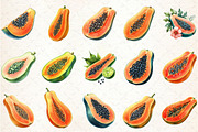 Watercolor Papaya Fruit Clipart, an Illustration by Rose Art (Thumbnail 2 of 7)