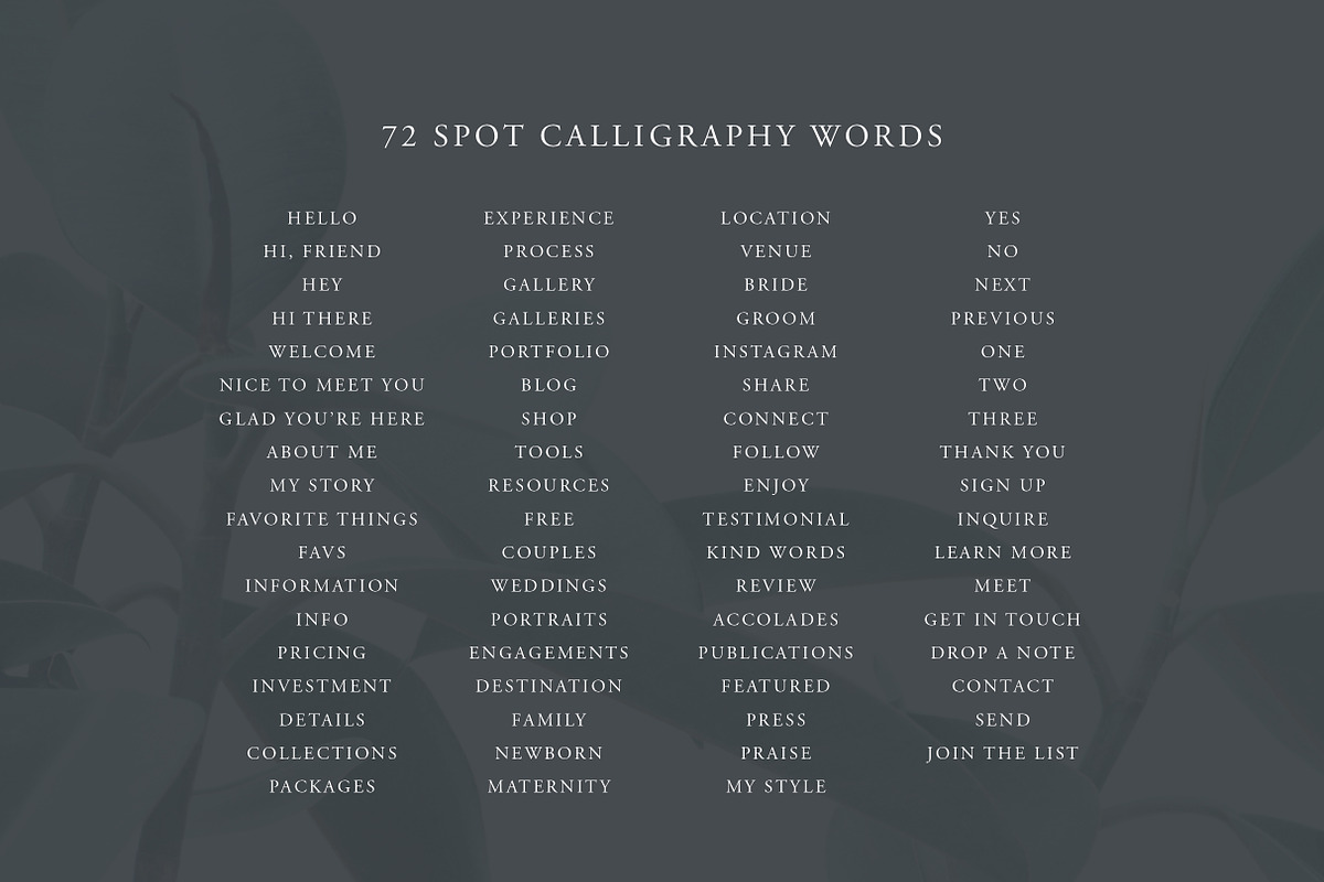 Calligraphy Vectors: Website Words, a Templates & Theme by Sarah Ann Design (Photo 2 of 7)