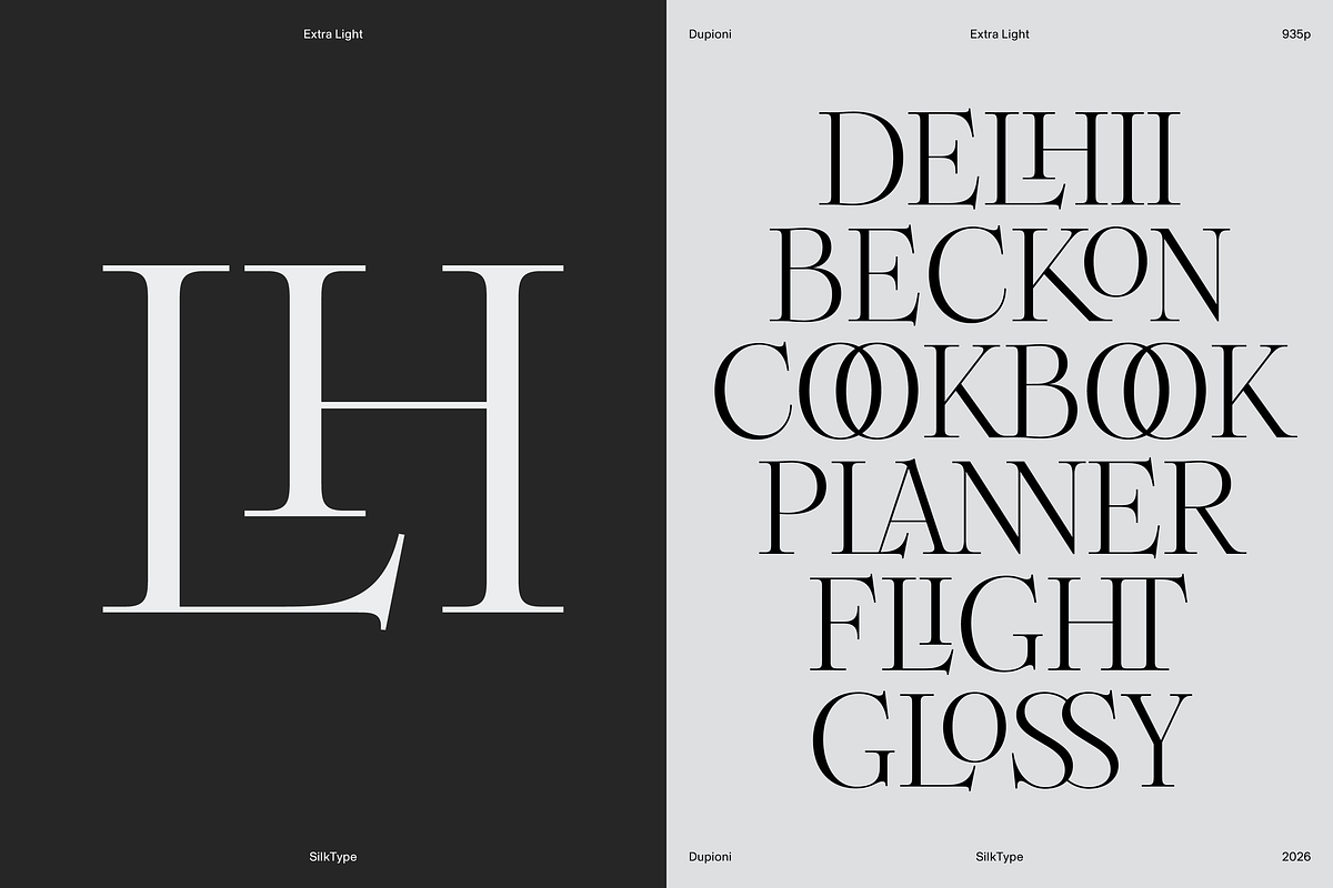Dupioni - 6 font family, a Serif Font by Silktype (Photo 10 of 21)