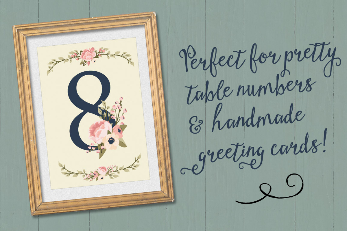 Navy & Blush Floral Numbers, an Illustration by Amanda Ilkov (Photo 4 of 5)