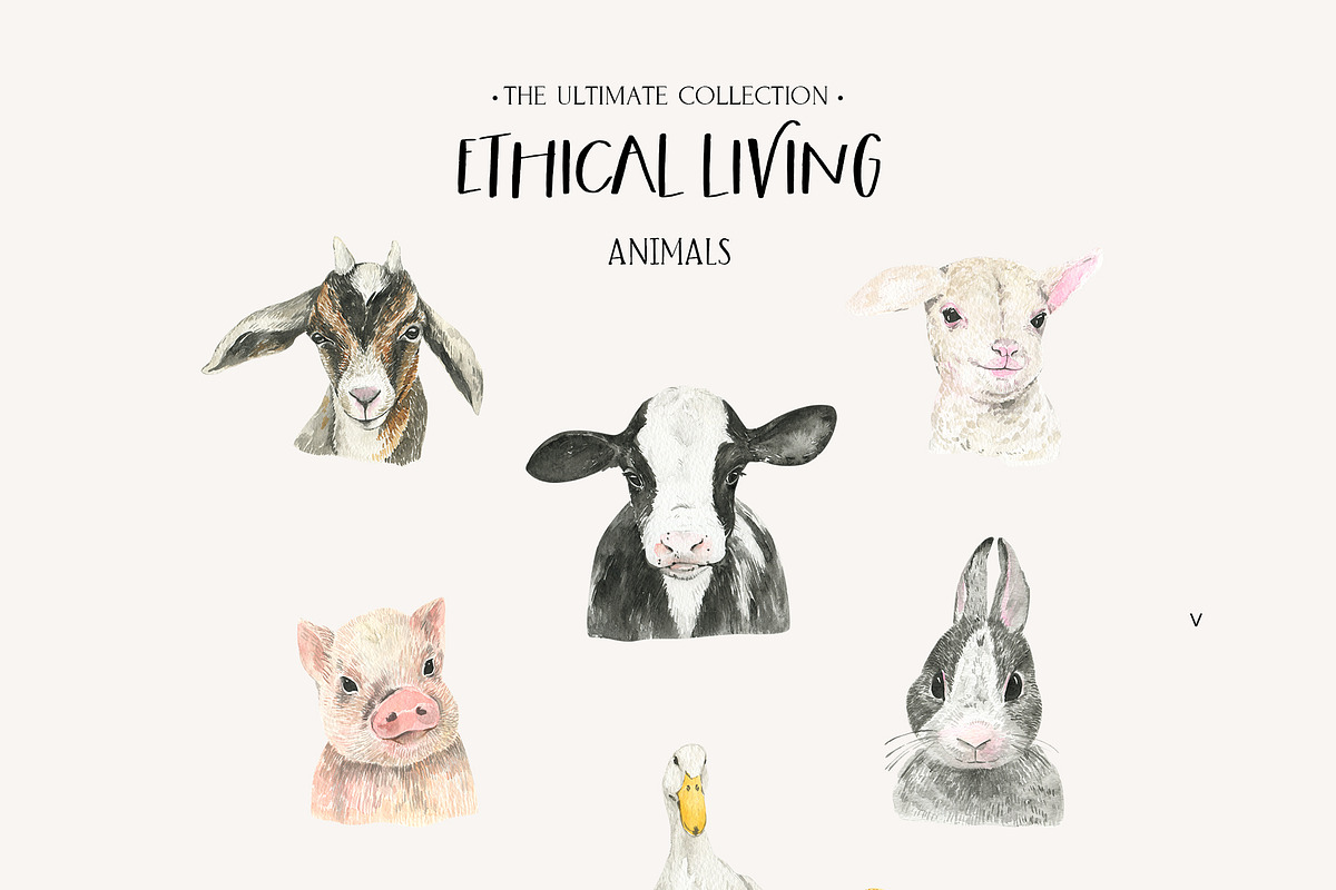 ETHICAL LIVING vegan & eco lifestyle, a Healthcare Illustration by Lana Elanor (Photo 6 of 28)