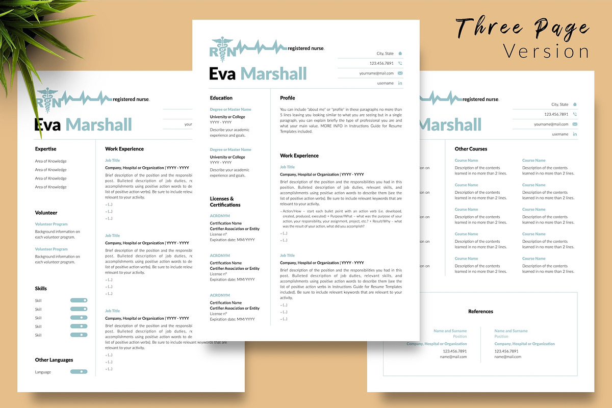 Nurse CV Design / Resume - Eva, a Resume Template by Templates Design Co. (Photo 4 of 17)
