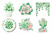 Watercolor Succulent Clipart, an Illustration by SinaCreation (Thumbnail 3 of 7)
