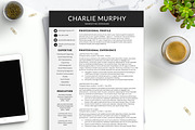 Modern CV Resume Template for Word, a Resume Template by BestResumes.Co (Thumbnail 1 of 7)