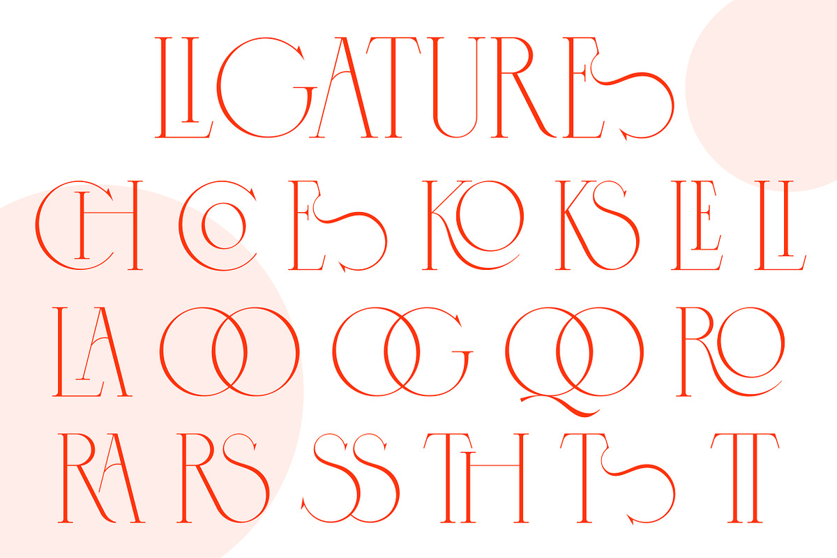 Cospiog - Modern serif font, a Serif Font by NuType (Photo 7 of 9)