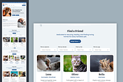 Pet Shelter - Wix Studio Website, a Wix Template by Kitteeh (Thumbnail 2 of 9)