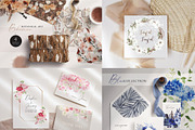 Watercolor Flower Bundle-50 in 1, an Illustration by Beigetime (Thumbnail 3 of 10)