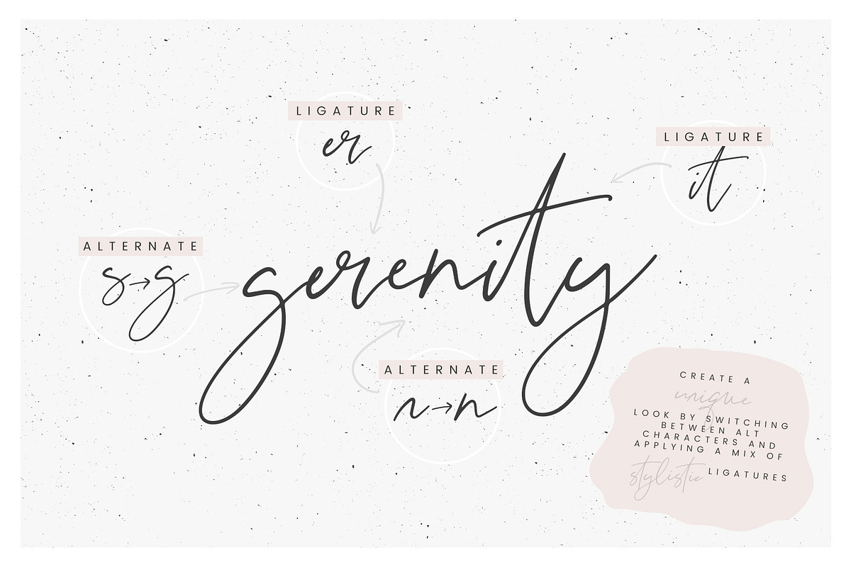 Stardust // A Modern Luxe Script preview 7