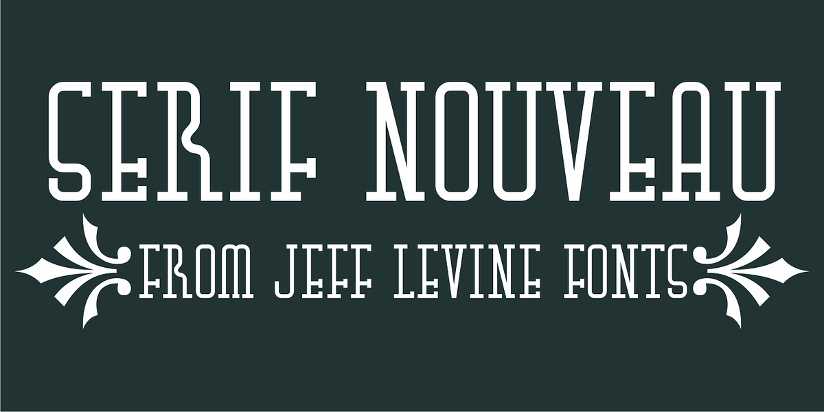 Serif Nouveau JNL, a Slab Serif Font by Jeff Levine Fonts