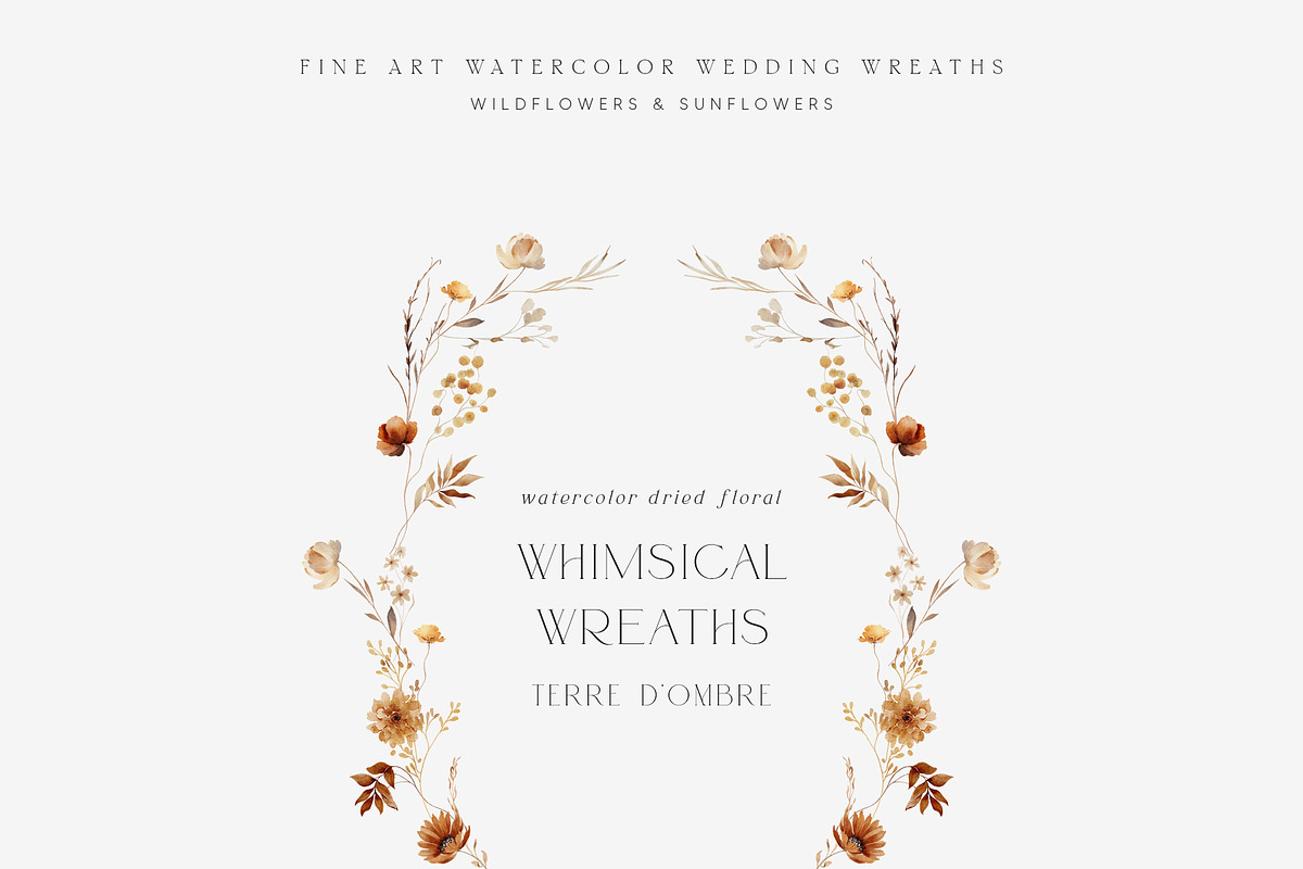 TERRE D'OMBRE Autumn Wildflowers, a Decorative Illustration by Muse Artist (Photo 3 of 13)