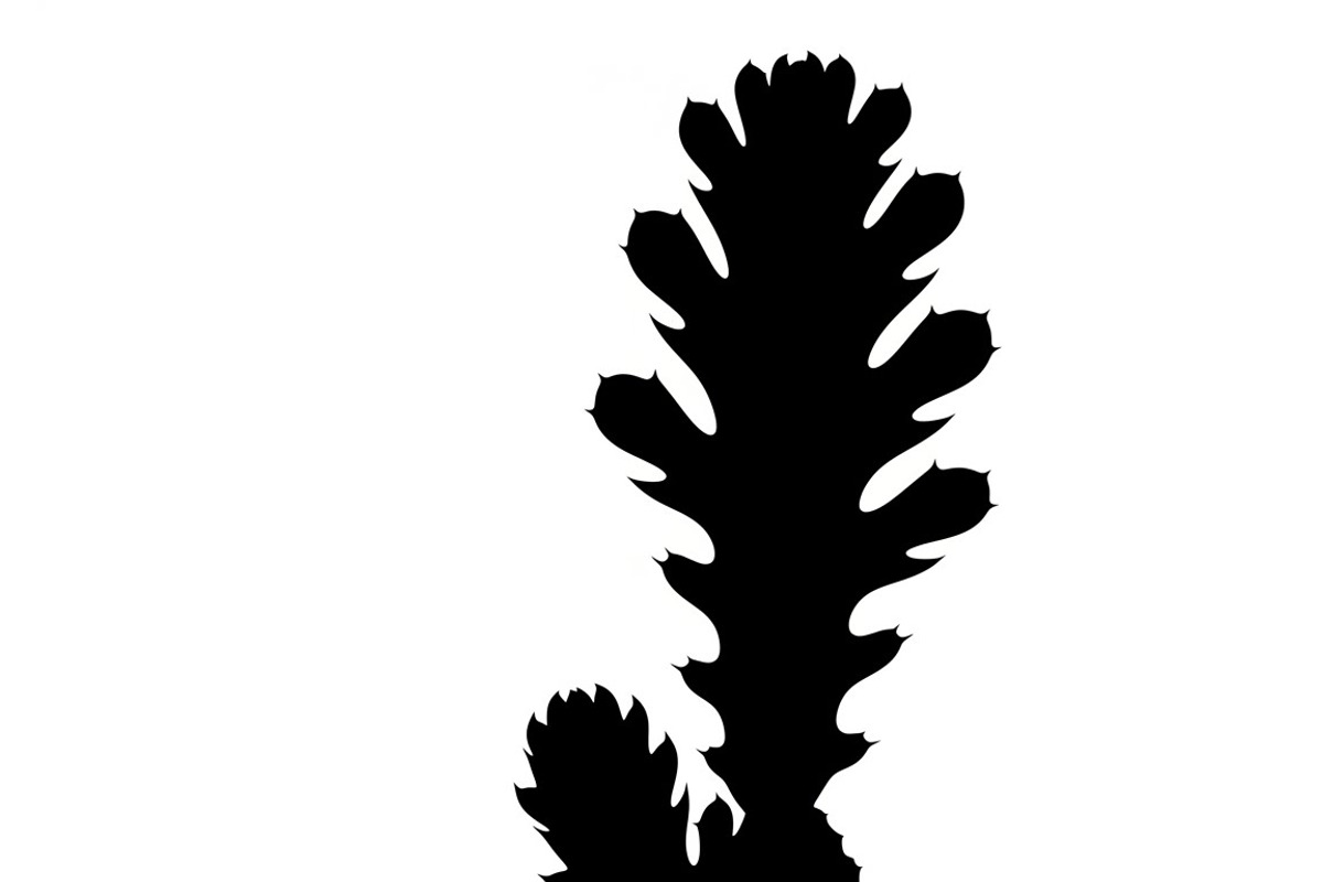 collection desert cactus silhouettes, an Illustration by Amazin_art (Photo 7 of 33)