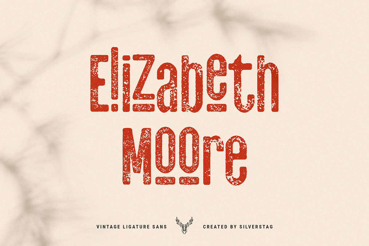 skyline - vintage ligature sans font, a Sans Serif Font by SilverStag Type Foundry (Photo 4 of 16)