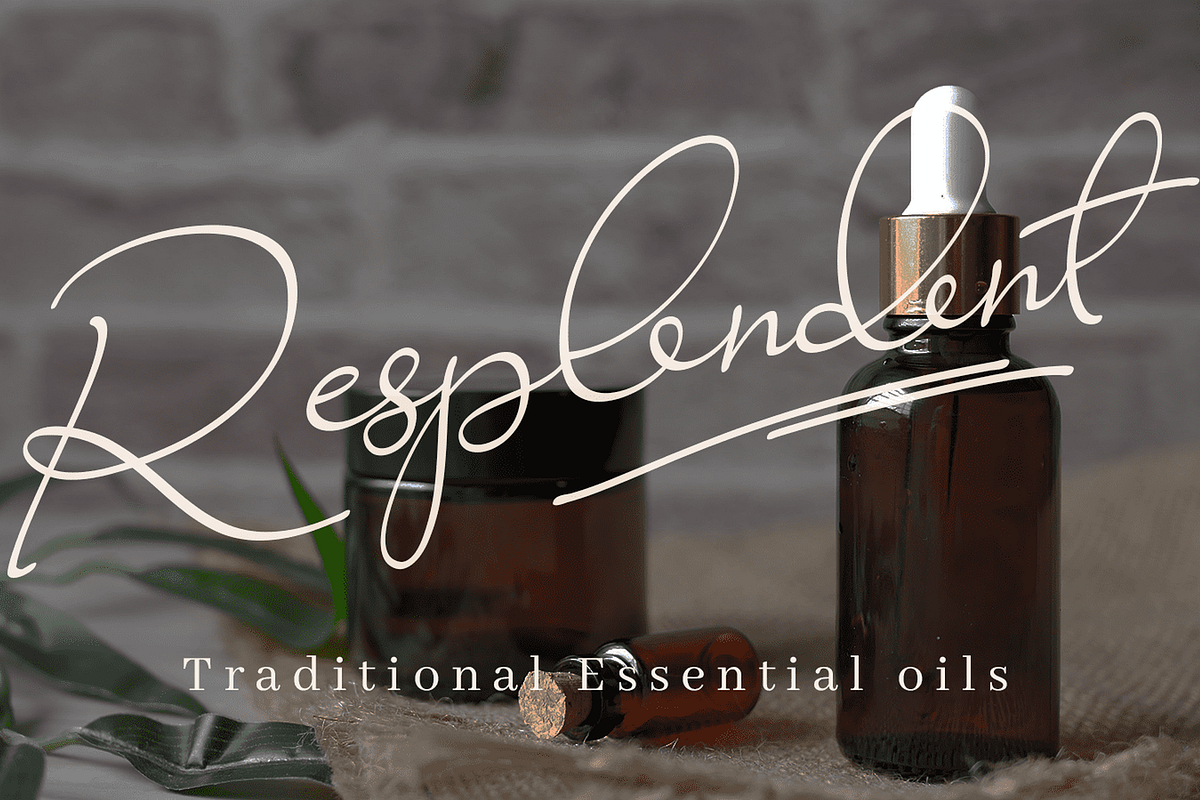 Ravishing Solidago Font, a Handwritten Font by Letterhanna Studio (Photo 15 of 21)