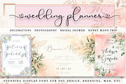 Elsabetha  Elegant Script Font, a Script Font by Aldedesign (Thumbnail 4 of 7)