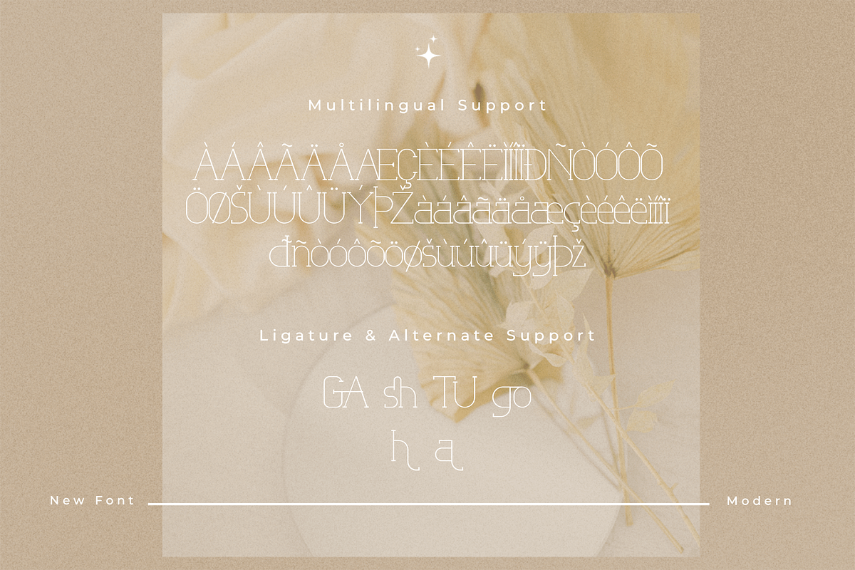 Latisha - Modern Classy Serif Font, a Serif Font by overlaytemplates (Photo 5 of 5)