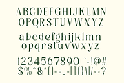 Roilega - Luxury Brand Family Font, a Serif Font by Pandeka Studio (Thumbnail 9 of 11)